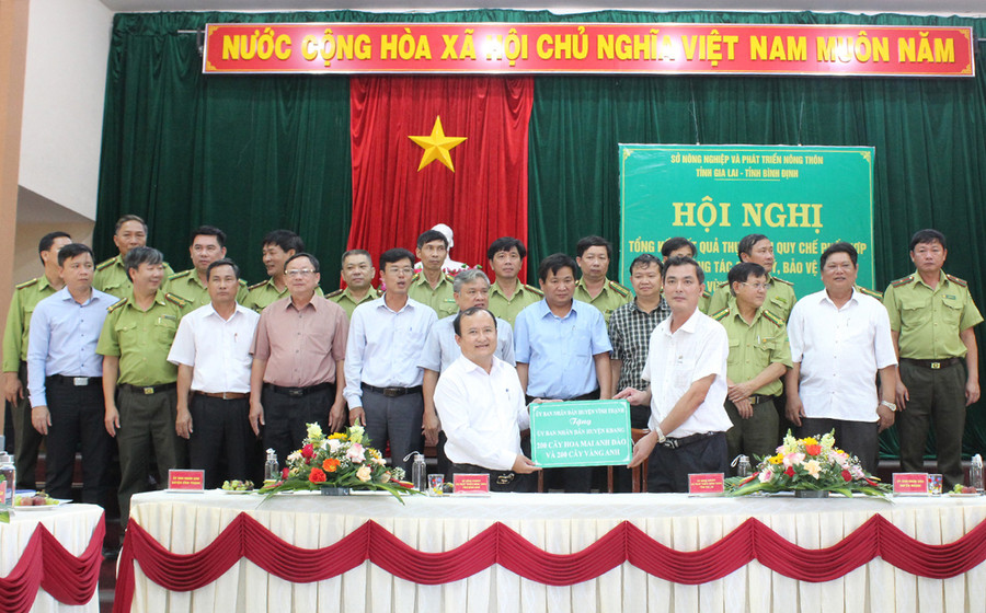 Huyện Vĩnh Thạnh tặng 400 cây xanh cho huyện Kbang. Ảnh: Nguyễn Diệp