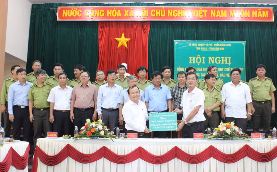 Huyện Vĩnh Thạnh tặng 400 cây xanh cho huyện Kbang. Ảnh: Nguyễn Diệp