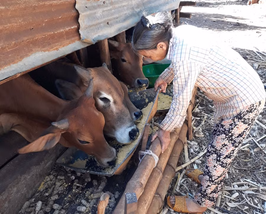Nhờ sự quan tâm của Hội Người mù tỉnh mà nhiều hội viên vượt qua mặc cảm, vươn lên trong cuộc sống. Ảnh: Hà Phương