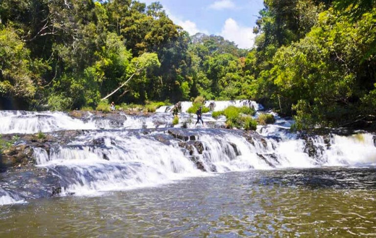 Khu dự trữ sinh quyển thế giới Cao nguyên Kon Hà Nừng được đánh giá là tiêu biểu cho hệ sinh thái rừng ở khu vực Tây Nguyên, có mức độ đa dạng sinh học cao, là nơi cư trú của một số loại sinh vật quý hiếm ở mức độ toàn cầu. Ảnh: Digialai