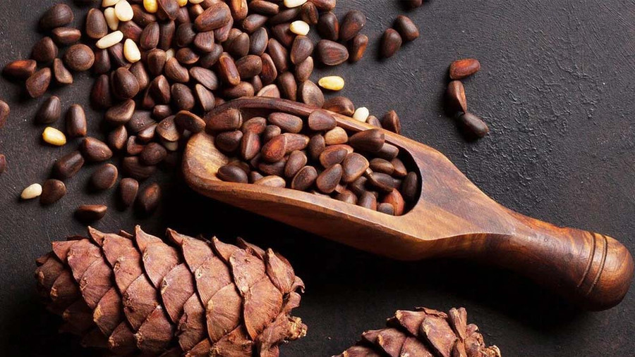 Hạt thông chứa nhiều chất dinh dưỡng có lợi cho sức khỏe. Ảnh minh họa: soha.vn