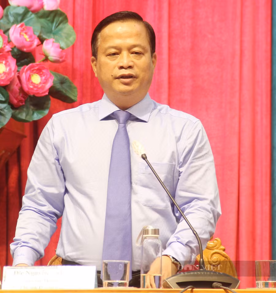 Phó Chủ tịch thường trực UBND tỉnh Bình Định Nguyễn Tuấn Thanh. Ảnh: DT