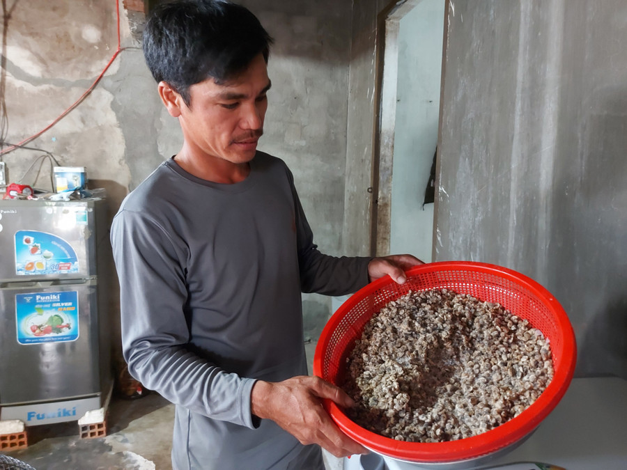 Gia đình anh Phạm Bá Khánh chế biến sản phẩm hến thịt. Ảnh: Hoành Sơn