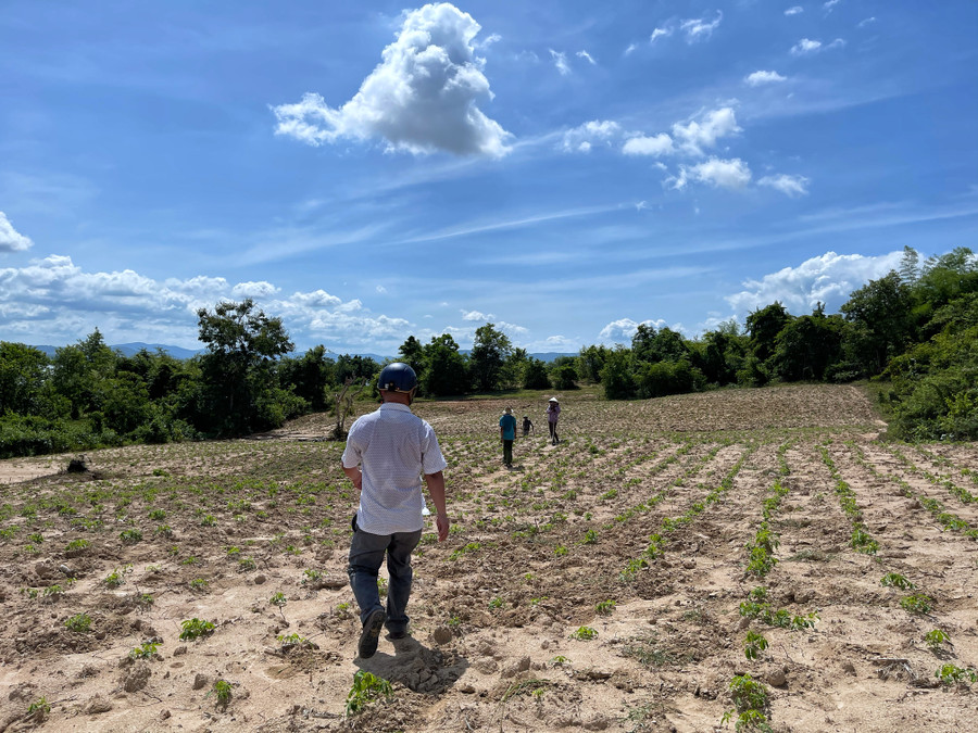 Đường vào tháp cổ Bang Keng đi qua những cánh rẫy của người Jrai. Ảnh: Hoàng Ngọc