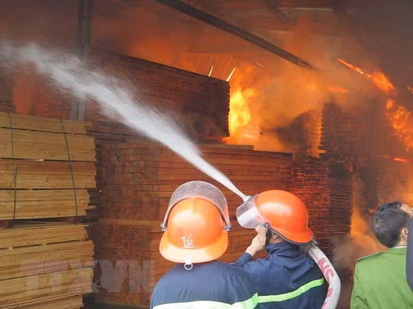 Ảnh minh họa. Nguồn: TTXVN