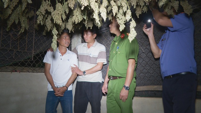 Hàng trăm chùm hoa cần sa đang được phơi khô để bán với giá 3 triệu đồng/kg Hàng trăm chùm hoa cần sa đang được phơi khô để bán với giá 3 triệu đồng/kg