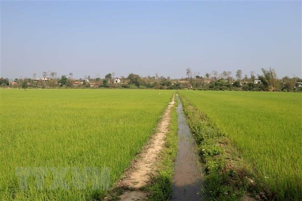 Ảnh minh họa. Nguồn: Hưng Thịnh/TTXVN