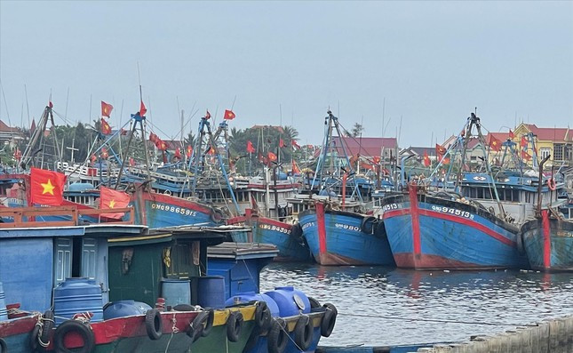 Mặt sông Roòn luôn kín đặc tàu đánh cá kể từ khi giá xăng dầu tăng cao Mặt sông Roòn luôn kín đặc tàu đánh cá kể từ khi giá xăng dầu tăng cao