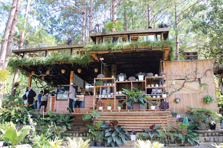  Quán Seven-T Coffee được làm bằng chất liệu gỗ mộc mạc