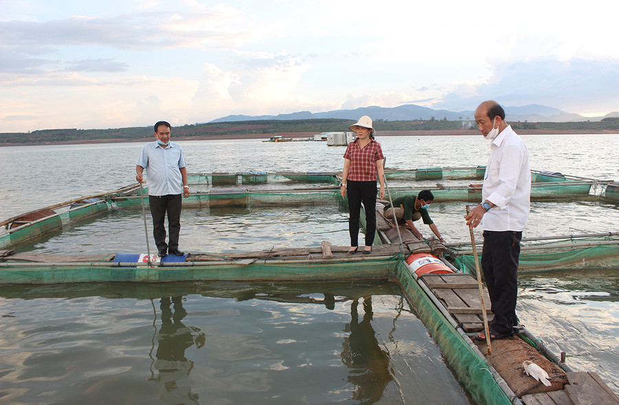 Người dân nuôi cá lồng trong lòng hồ thủy điện Ia Ly (huyện Chư Păh). Ảnh: Nguyễn Diệp Nuôi cá lồng trong lòng hồ thủy điện Ia Ly, huyện Chư Păh. Ảnh: Nguyễn Diệp