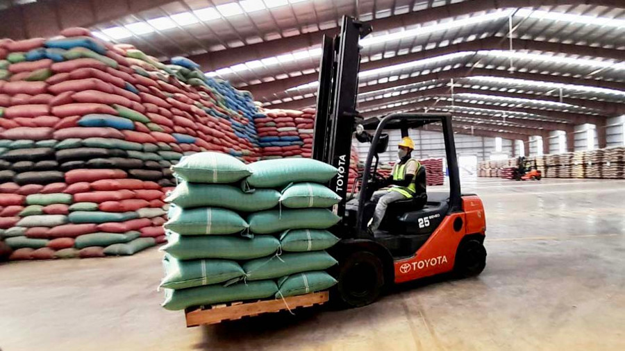 Hiệp định RCEP mở ra cơ hội mới cho các doanh nghiệp trong tỉnh đẩy mạnh xuất khẩu nông sản. Ảnh: Vũ Thảo