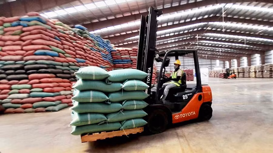 Hiệp định RCEP mở ra cơ hội mới cho các doanh nghiệp trong tỉnh đẩy mạnh xuất khẩu nông sản. Ảnh: Vũ Thảo