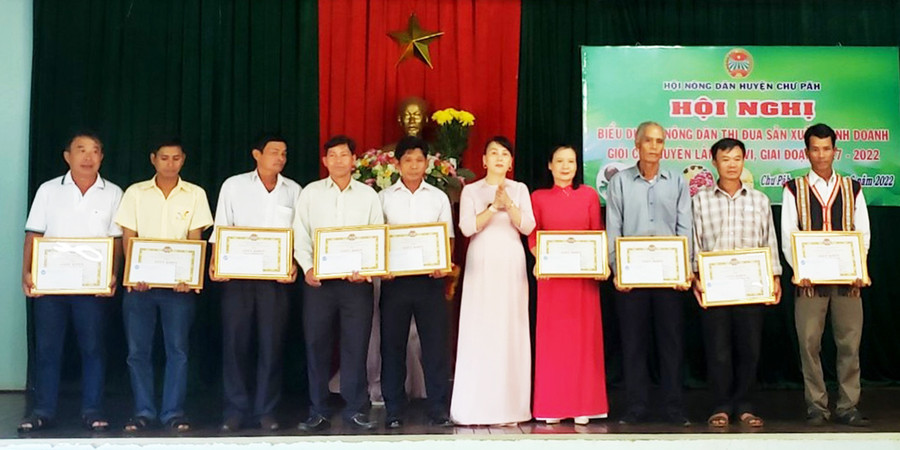  Trao giấy khen cho tập thể, cá nhân sản xuất kinh doanh giỏi. Ảnh: Đinh Yến