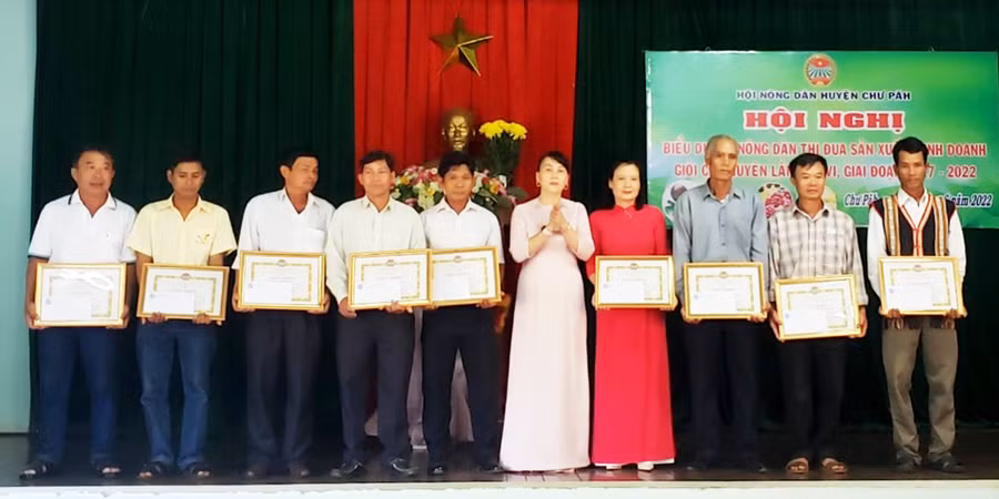 Hội Nông dân huyện trao giấy khen cho tập thể, cá nhân sản xuất kinh doanh giỏi. Ảnh: Đinh Yến Trao giấy khen cho tập thể, cá nhân sản xuất kinh doanh giỏi. Ảnh: Đinh Yến