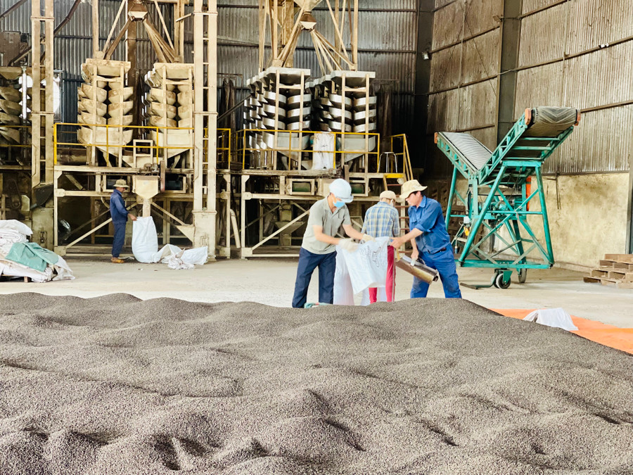 Nhà máy chế biến của Công ty TNHH Quốc tế Song Hỷ Gia Lai. Ảnh: Vũ Thảo