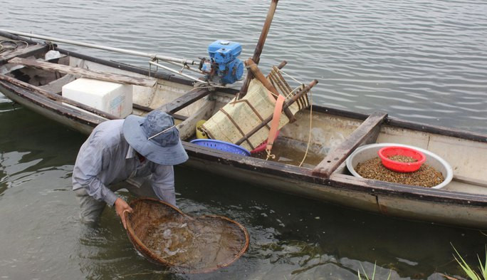 Anh Trần Văn Nông chuyển don lên bờ