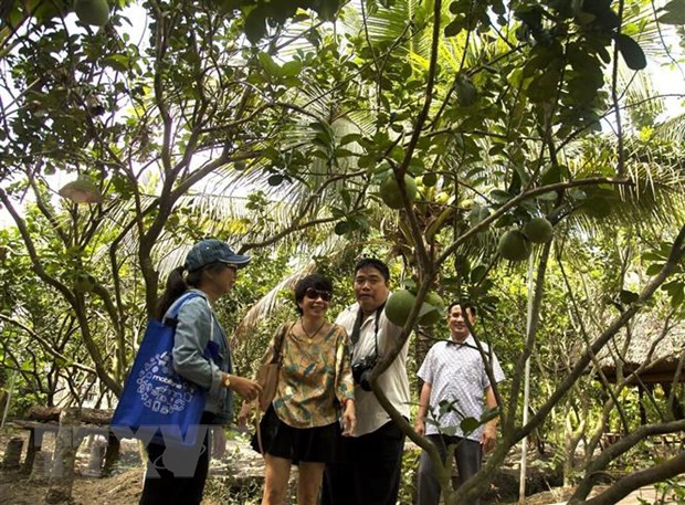 Du khách trải nghiệm không gian du lịch sinh thái ở xã Thành Triệu, huyện Châu Thành (Bến Tre). Ảnh: Hồng Đạt/TTXVN