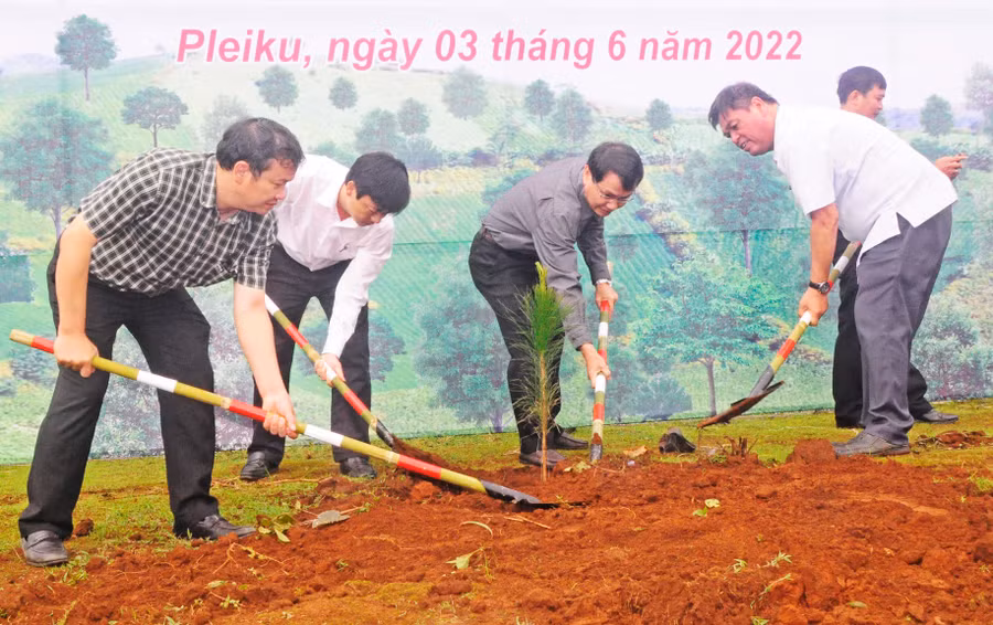 Các đồng chí lãnh đạo tỉnh, sở, ngành và thành phố Pleiku trồng cây xanh tại lễ phát động. Ảnh: Hoành Sơn