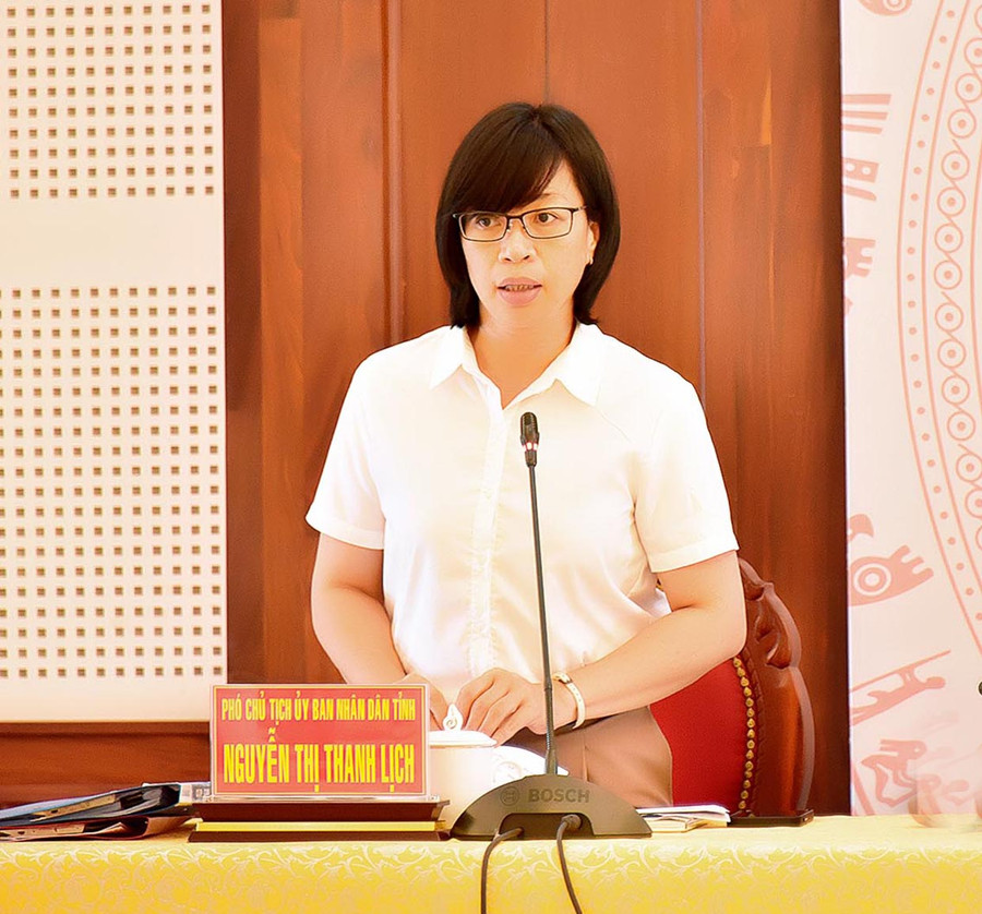 Phó Chủ tịch UBND tỉnh Nguyễn Thị Thanh Lịch phát biểu tại hội nghị. Ảnh: Đức Thụy