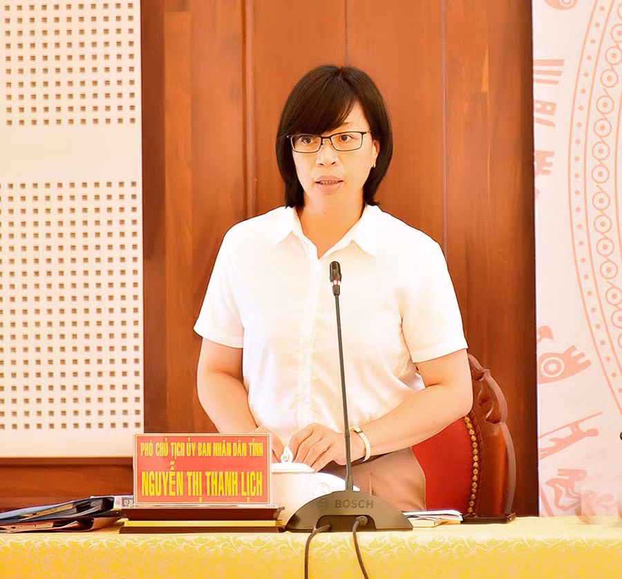 Phó Chủ tịch UBND tỉnh Nguyễn Thị Thanh Lịch phát biểu tại hội nghị. Ảnh: Đức Thụy