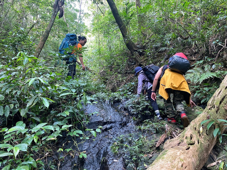 Khu dự trữ sinh quyển thế giới cao nguyên Kon Hà Nừng có diện tích 413.512ha, bao gồm toàn bộ Vườn Quốc gia Kon Ka Kinh, Khu Bảo tồn thiên nhiên Kon Chư Răng và một phần của thị xã An Khê cùng 5 huyện Đăk Đoa, Mang Yang, K'bang, Chư Păh, Đăk Pơ. Ảnh: Tổng cục Du lịch