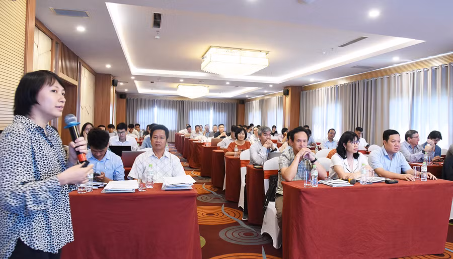  TS Nguyễn Mai Phương, Phó điều phối dự án. Ảnh: Nguyễn Thùy Dương