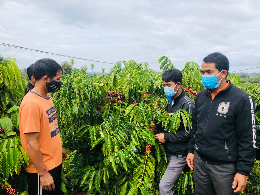 Giờ đây hàng chục hộ dân tộc thiểu số ở xã Glar chẳng còn nỗi lo 