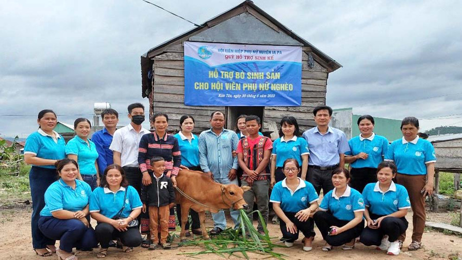 Tặng bò sinh sản cho gia đình chị Kpă H’Cha-thôn Blom, xã Kim Tân, huyện Ia Pa. Ảnh: Minh Châu Tặng bò sinh sản cho gia đình chị Kpă H’Cha-thôn Blom, xã Kim Tân, huyện Ia Pa. Ảnh: Minh Châu