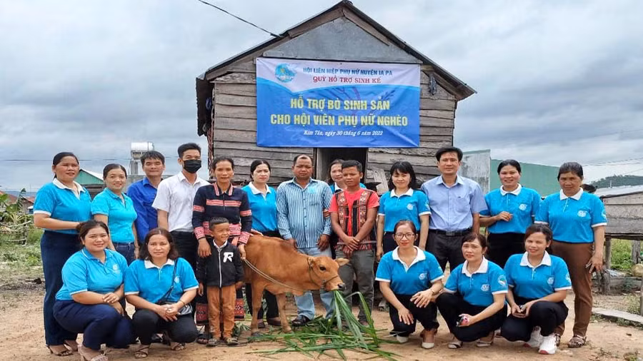 Tặng bò sinh sản cho gia đình chị Kpă H’Cha-thôn Blom, xã Kim Tân, huyện Ia Pa. Ảnh: Minh Châu