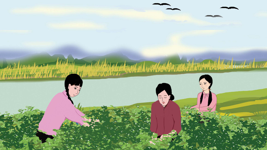 Minh họa: Huyền Trang