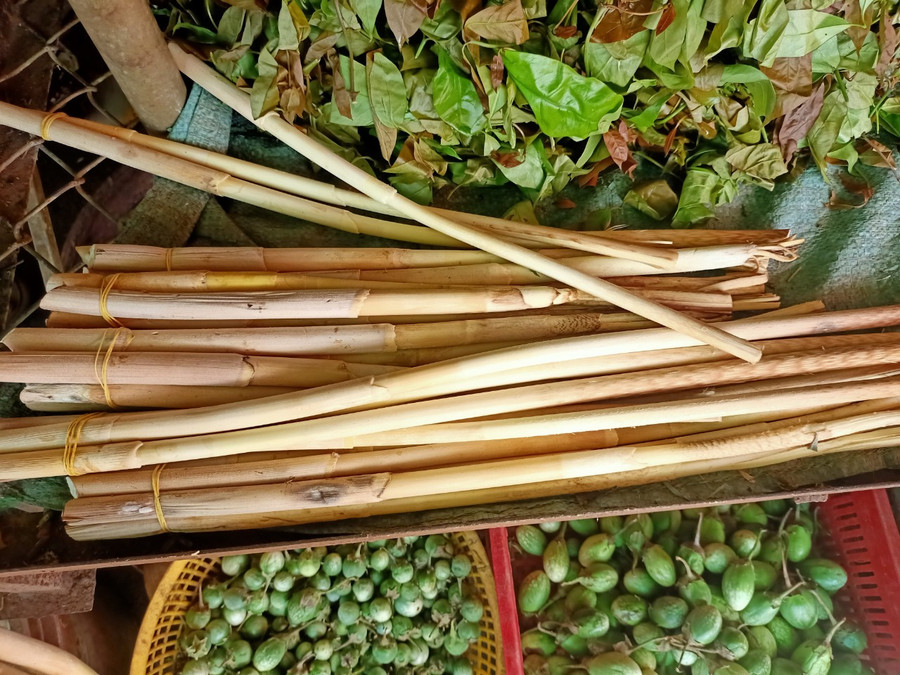 Đọt mây gai Đắk Lắk sau khi chặt thành khúc nhỏ mang về sẽ được người đồng bào tước bỏ phần vỏ gai và lá, để lộ ra phần thân mây trắng ngần, nhẵn bóng.