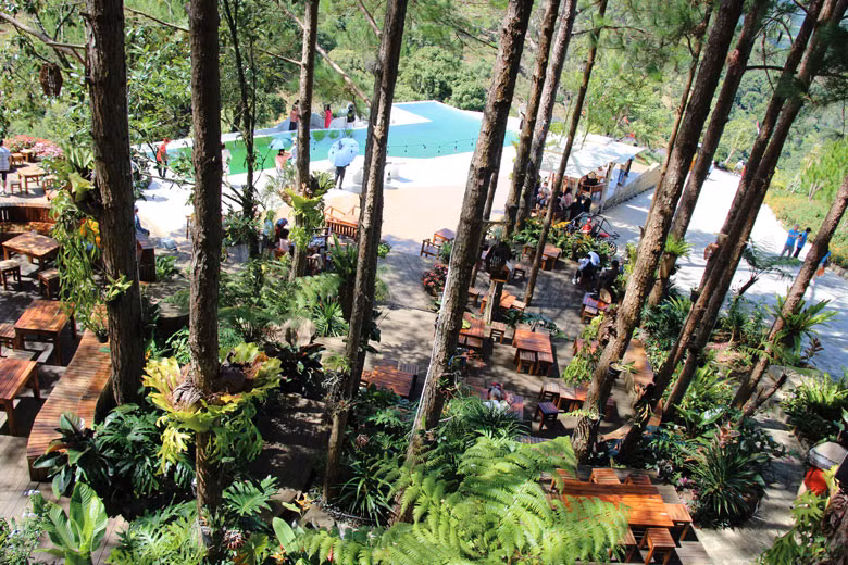 Không gian Seven-T Coffee “lọt thỏm” giữa rừng thông xanh ngát