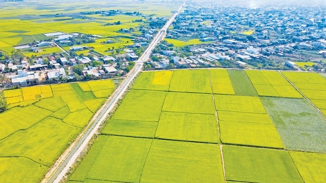 Không gian nông nghiệp tại huyện Phú Thiện. Nguồn: ITN