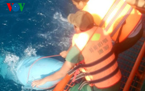 Một bộ phận mảnh vỡ của máy bay Su-22 được vớt lên Một bộ phận mảnh vỡ của máy bay Su-22 được vớt lên