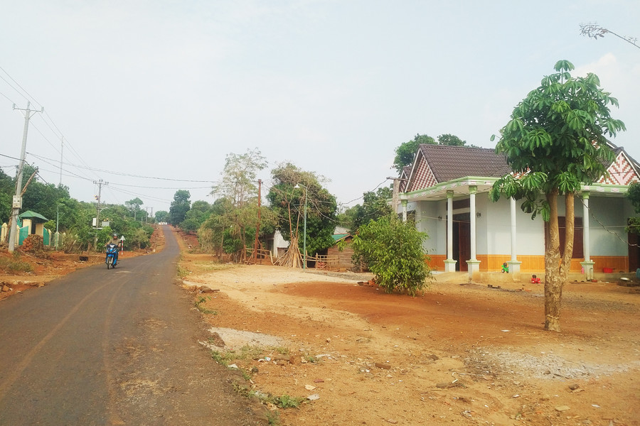 Những vườn điều, rẫy mì được bán, cho thuê để đổi lấy xe xin, nhà sang. Ảnh: N.G 