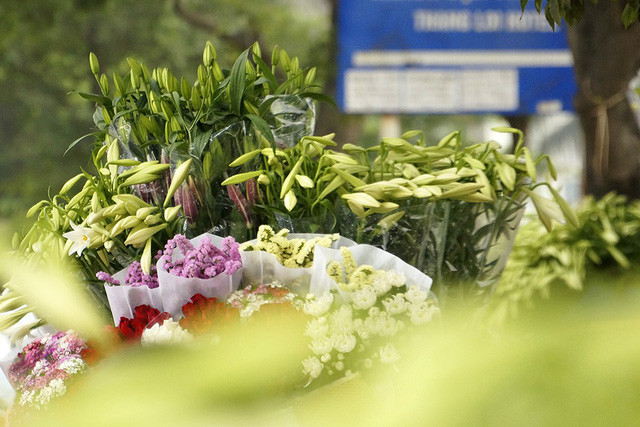 Mỗi dịp cuối tháng 3 đầu tháng 4, khắp các con đường, ngõ phố của Hà Nội lại được tô điểm bởi sắc trắng mộc mạc của những bông hoa loa kèn. Ảnh: Mạnh Thắng