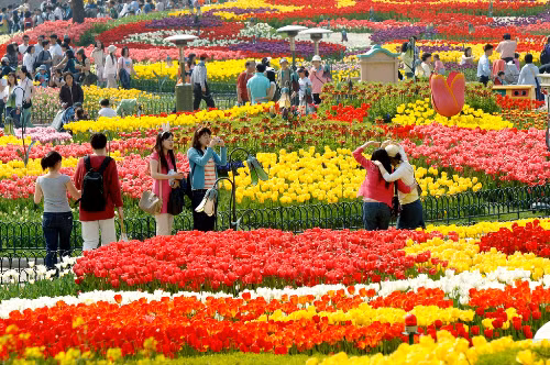  Với bối cảnh theo lối kiến trúc châu Âu, đến công viên Everland du khách còn có dịp thưởng ngoạn, tản bộ và lưu lại những khoảnh khắc đẹp trong không gian hoa ấn tượng đầy sắc màu tựa chốn trời Tây. Khi đến đây, du khách còn được hòa mình vào không khí sôi động của lễ hội hoa, lễ diễu hành đầy màu sắc, nhiều trò chơi giải trí hấp dẫn hay lạc bước đến thế giới của những câu chuyện cổ tích… Nếu muốn một lần được đắm mình trong sắc hoa anh đào và mãn nhãn với những thảm hoa tulip trải dài, du khách đừng bỏ lỡ tour du lịch Hàn Quốc đi Seoul – Everland - Đảo Nami – Tháp Namsan (4 ngày 4 đêm) trong khuôn khổ chiến dịch “Xuân vui muôn hoa, cùng qua Hàn Quốc” do Du Lịch Việt phối hợp cùng Tổng Cục Du Lịch Hàn Quốc (KTO) tổ chức, từ 14.999.000 đồng. Du khách tham gia tour còn có cơ hội nhận được phần quà là túi đựng mỹ phẩm mùa xuân từ KTO gửi tặng. Chi tiết tour xem tại đây.
