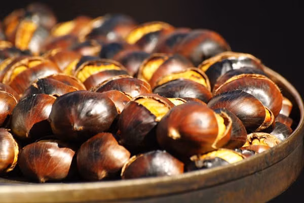  Hạt dẻ rất tốt cho hệ tim mạch và hỗ trợ giảm cân dễ dàng hơn. Một nghiên cứu mới đây cho thấy nếu sử dụng thường xuyên, hạt dẻ có thể giúp bạn giảm nguy cơ béo phì.