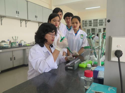  PGS-TS Đinh Thị Bích Lân hướng dẫn sinh viên nghiên cứu khoa học