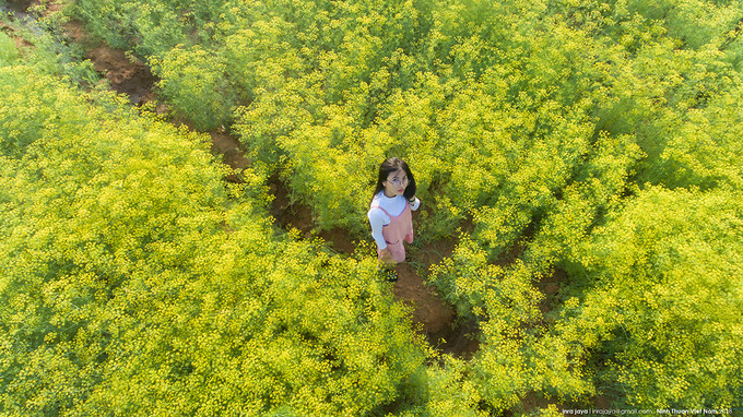 Nhiều du khách hào hứng khi vườn mở cửa trở lại. Tâm Nguyễn (TP HCM) cho hay: 