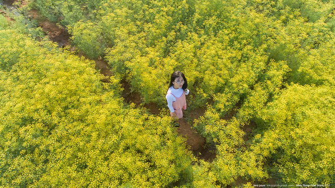 Nhiều du khách hào hứng khi vườn mở cửa trở lại. Tâm Nguyễn (TP HCM) cho hay: 