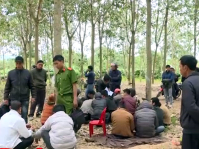 Ảnh minh họa Ảnh minh họa