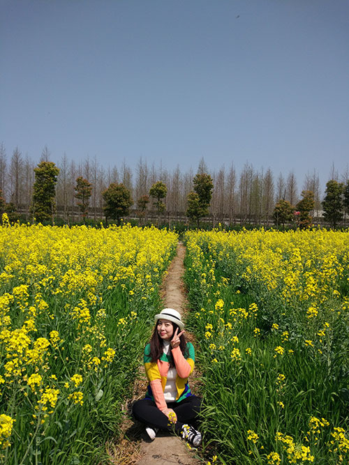 Hoa cải vàng: Cuối tháng 3 đến tháng 4 ở trấn Trang Hành, quận Phụng Hiền ngoại ô Thượng Hải diễn ra Lễ hội hoa cải Phụng Hiền. Du khách đến tham quan hoàn toàn miễn phí, nhưng địa điểm cách trung tâm thành phố khá xa nên việc đi lại cũng tốn kha khá thời gian. Bạn có thể kết hợp đi tham quan Phim trường Thượng Hải vì cùng nằm trên tuyến đường đến Trang Hành. Hoa cải vàng: Cuối tháng 3 đến tháng 4 ở trấn Trang Hành, quận Phụng Hiền ngoại ô Thượng Hải diễn ra Lễ hội hoa cải Phụng Hiền. Du khách đến tham quan hoàn toàn miễn phí, nhưng địa điểm cách trung tâm thành phố khá xa nên việc đi lại cũng tốn kha khá thời gian. Bạn có thể kết hợp đi tham quan Phim trường Thượng Hải vì cùng nằm trên tuyến đường đến Trang Hành.