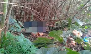 Ảnh minh họa (nguồn internet)