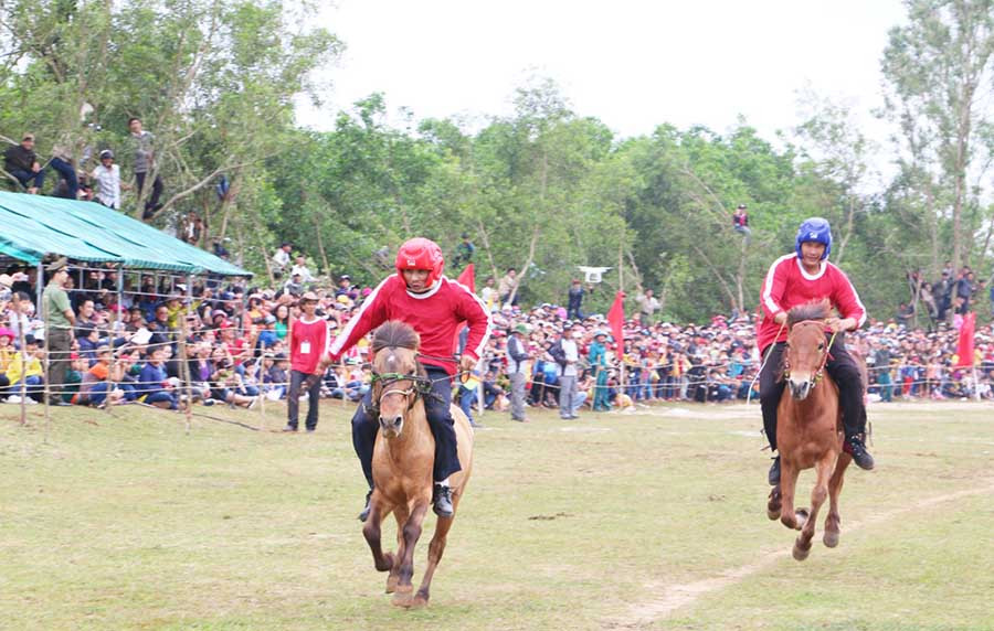  Hội đua diễn ra trong sự cổ vũ của đông đảo khán giả. Ảnh: Thùy Chi