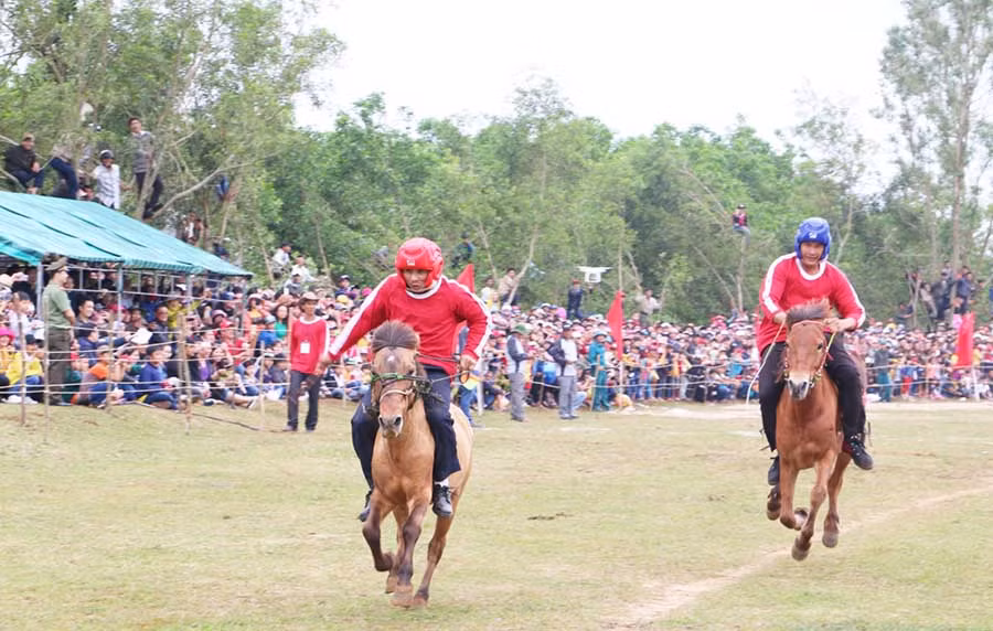  Hội đua diễn ra trong sự cổ vũ của đông đảo khán giả. Ảnh: Thùy Chi