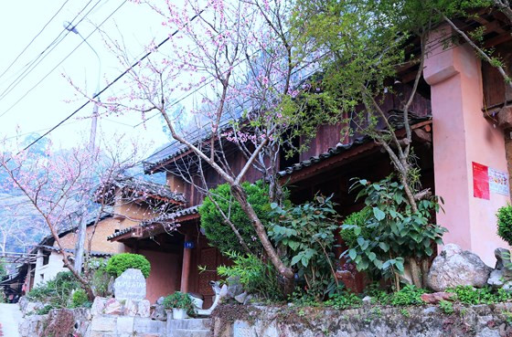 Đào khoe sắc dưới hiên nhà