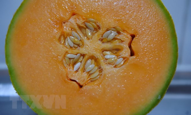 (Nguồn: The Guardian/TTXVN)