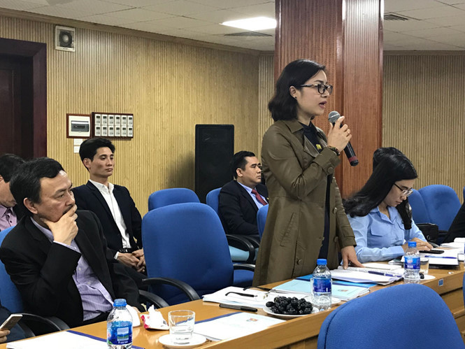 Chị Đinh Thị Phượng, Bí thư Tỉnh đoàn Ninh Bình góp ý kiến tại buổi làm việc.