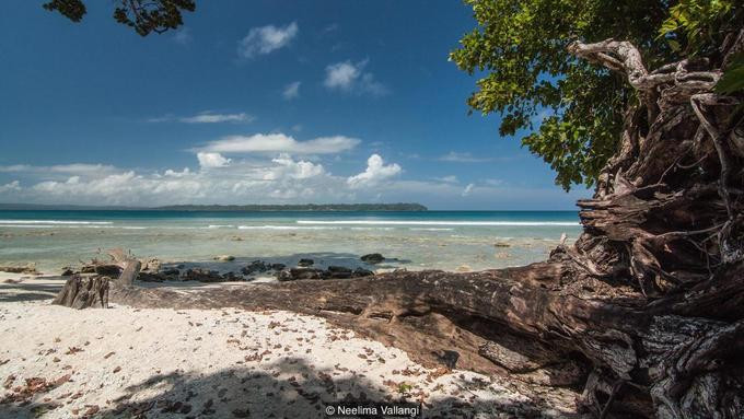 Nằm ở vịnh Bengal, Andaman và Nicobar là nhóm quần đảo tách biệt gồm 572 đảo nhiệt đới, trong đó chỉ có 38 đảo có người sống. Quần đảo nằm gần phía Đông Nam Á hơn so với Ấn Độ và chúng đều sở hữu nhiều bãi biển đẹp với đời sống sinh vật biển phong phú, và những cánh rừng nguyên sinh rộng lớn. Tuy nhiên, sau vẻ đẹp lý tưởng đó là một quá khứ đen tối. 